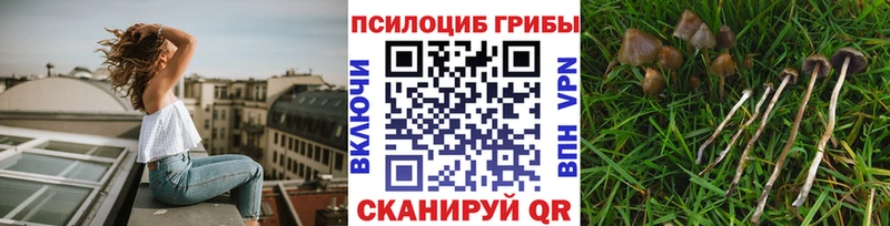 blacksprut маркетплейс где можно купить наркотик Котовск Галлюциногенные грибы Psilocybine cubensis